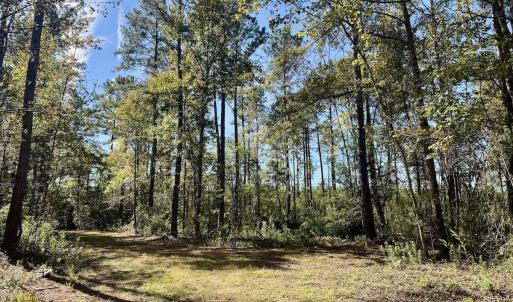 Photo #3 of 8004 White Oak River Road, Maysville, NC 117.3 acres
