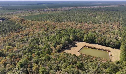 Photo #6 of 8004 White Oak River Road, Maysville, NC 117.3 acres