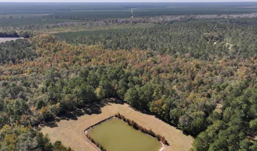 Photo #8 of 8004 White Oak River Road, Maysville, NC 117.3 acres