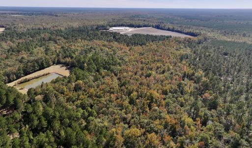 Photo #9 of 8004 White Oak River Road, Maysville, NC 117.3 acres