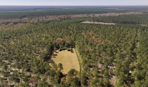 Photo #21 of 8004 White Oak River Road, Maysville, NC 117.3 acres