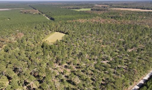 Photo #36 of 8004 White Oak River Road, Maysville, NC 117.3 acres