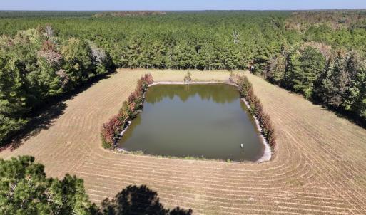 Photo #37 of 8004 White Oak River Road, Maysville, NC 117.3 acres