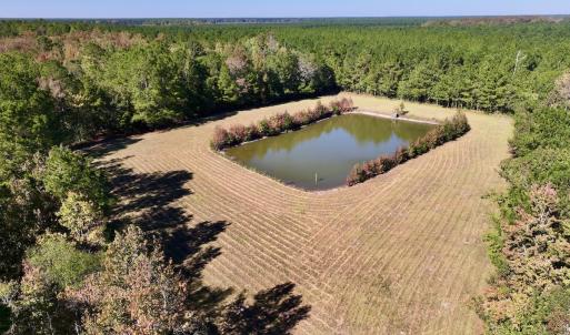 Photo #38 of 8004 White Oak River Road, Maysville, NC 117.3 acres