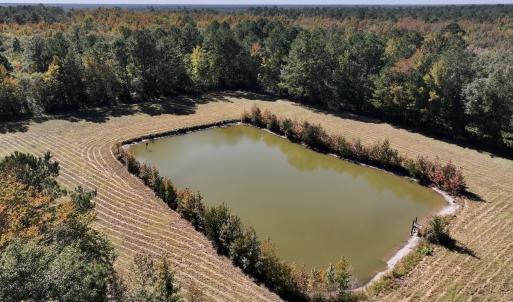 Photo #39 of 8004 White Oak River Road, Maysville, NC 117.3 acres