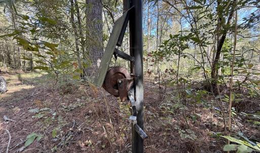 Photo #44 of 8004 White Oak River Road, Maysville, NC 117.3 acres