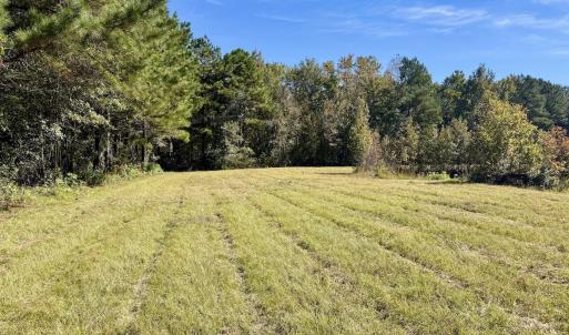 Photo #49 of 8004 White Oak River Road, Maysville, NC 117.3 acres