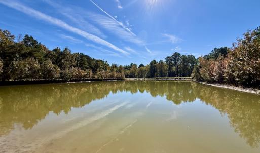 Photo #50 of 8004 White Oak River Road, Maysville, NC 117.3 acres