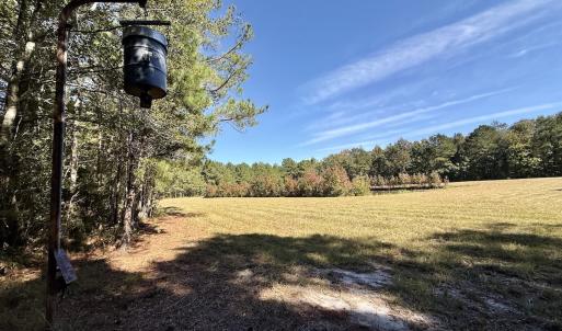 Photo #51 of 8004 White Oak River Road, Maysville, NC 117.3 acres