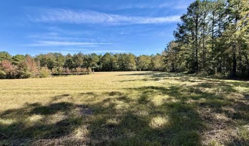 Photo #52 of 8004 White Oak River Road, Maysville, NC 117.3 acres