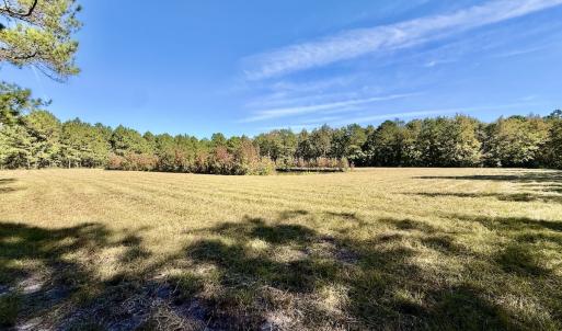 Photo #53 of 8004 White Oak River Road, Maysville, NC 117.3 acres