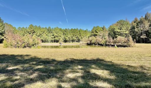 Photo #54 of 8004 White Oak River Road, Maysville, NC 117.3 acres