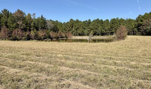 Photo #56 of 8004 White Oak River Road, Maysville, NC 117.3 acres