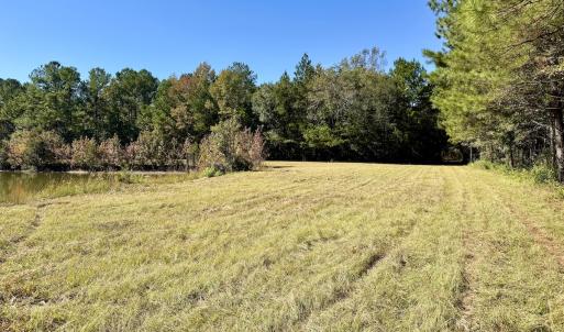 Photo #57 of 8004 White Oak River Road, Maysville, NC 117.3 acres