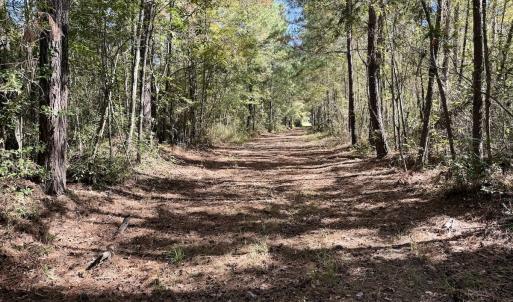 Photo #62 of 8004 White Oak River Road, Maysville, NC 117.3 acres