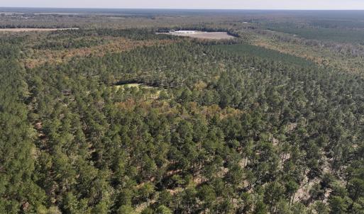 Photo #65 of 8004 White Oak River Road, Maysville, NC 117.3 acres