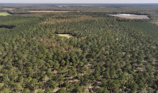 Photo #66 of 8004 White Oak River Road, Maysville, NC 117.3 acres