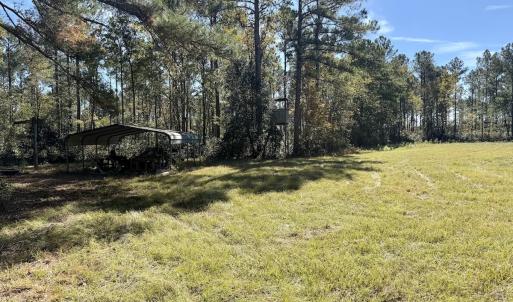 Photo #67 of 8004 White Oak River Road, Maysville, NC 117.3 acres