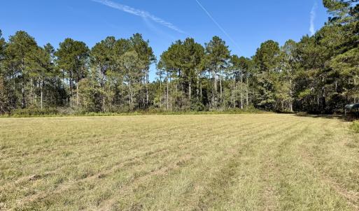 Photo #68 of 8004 White Oak River Road, Maysville, NC 117.3 acres