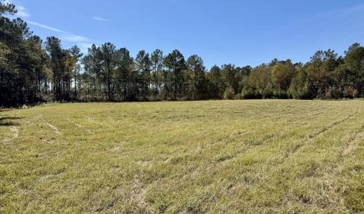 Photo #69 of 8004 White Oak River Road, Maysville, NC 117.3 acres