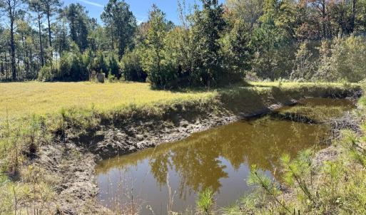 Photo #70 of 8004 White Oak River Road, Maysville, NC 117.3 acres