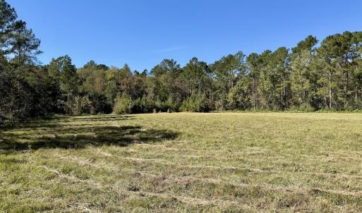 Photo #72 of 8004 White Oak River Road, Maysville, NC 117.3 acres