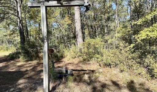 Photo #75 of 8004 White Oak River Road, Maysville, NC 117.3 acres