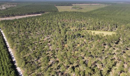 Photo #85 of 8004 White Oak River Road, Maysville, NC 117.3 acres