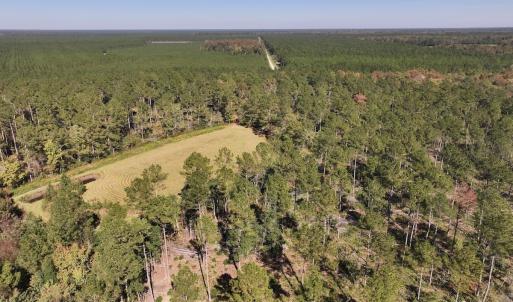 Photo #89 of 8004 White Oak River Road, Maysville, NC 117.3 acres