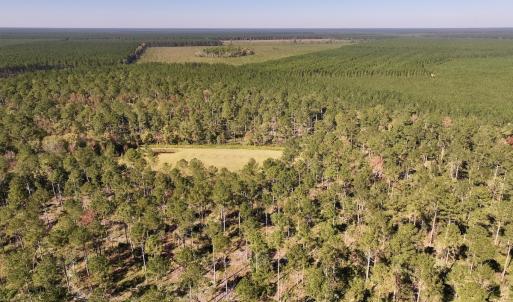 Photo #90 of 8004 White Oak River Road, Maysville, NC 117.3 acres