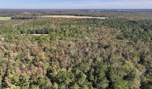 Photo #92 of 8004 White Oak River Road, Maysville, NC 117.3 acres