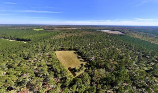 Photo #93 of 8004 White Oak River Road, Maysville, NC 117.3 acres