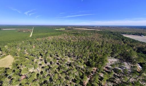 Photo #94 of 8004 White Oak River Road, Maysville, NC 117.3 acres