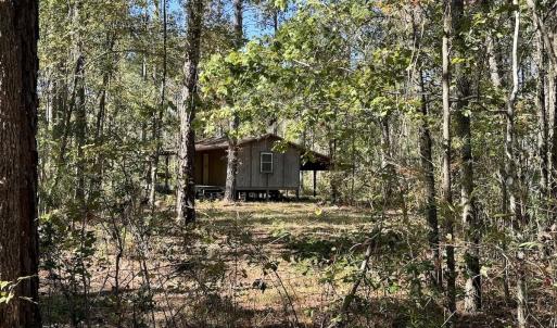 Photo #99 of 8004 White Oak River Road, Maysville, NC 117.3 acres