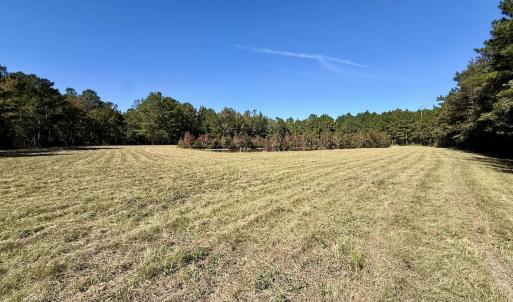 Photo #101 of 8004 White Oak River Road, Maysville, NC 117.3 acres