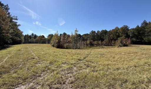 Photo #102 of 8004 White Oak River Road, Maysville, NC 117.3 acres