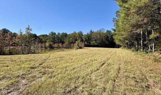 Photo #103 of 8004 White Oak River Road, Maysville, NC 117.3 acres