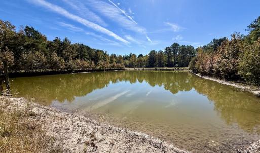 Photo #106 of 8004 White Oak River Road, Maysville, NC 117.3 acres