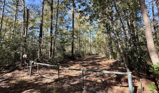 Photo #107 of 8004 White Oak River Road, Maysville, NC 117.3 acres