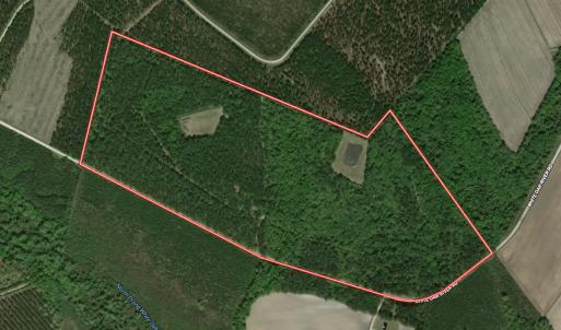Photo #109 of 8004 White Oak River Road, Maysville, NC 117.3 acres