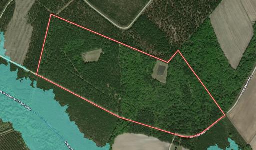 Photo #112 of 8004 White Oak River Road, Maysville, NC 117.3 acres