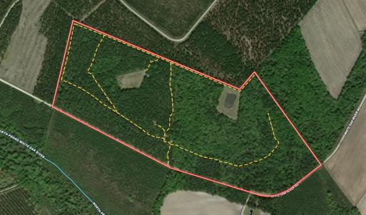 Photo #110 of 8004 White Oak River Road, Maysville, NC 117.3 acres