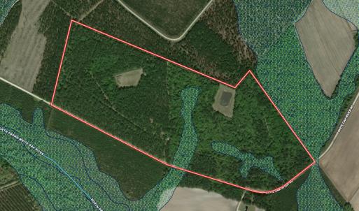 Photo #111 of 8004 White Oak River Road, Maysville, NC 117.3 acres