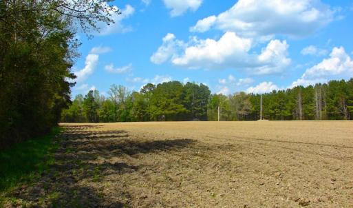 Photo of UNDER CONTRACT!  Land For Sale in Columbus County North Carolina