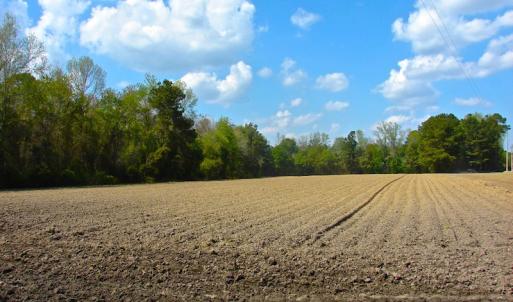 Photo of UNDER CONTRACT!  Land For Sale in Columbus County North Carolina