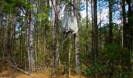 Photo of UNDER CONTRACT!  Land For Sale in Columbus County North Carolina