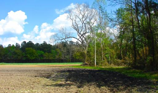 Photo of UNDER CONTRACT!  Land For Sale in Columbus County North Carolina
