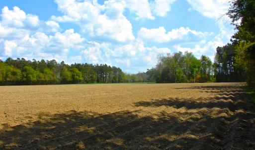 Photo of UNDER CONTRACT!  Land For Sale in Columbus County North Carolina