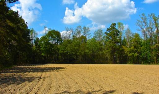 Photo of UNDER CONTRACT!  Land For Sale in Columbus County North Carolina