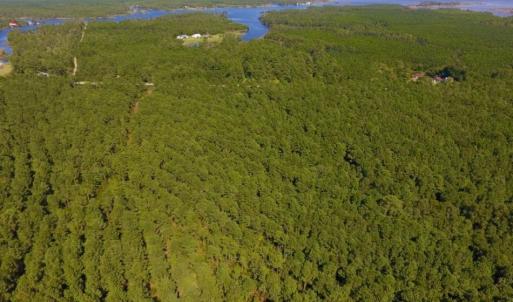 Photo of UNDER CONTRACT!  65 ac of Timber and Hunting Land For Sale in Pamlico County, NC!